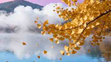 Ubuntu 本地部署 Ollama：DeepSeek、Qwen 大模型极速上手指南