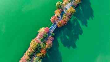 前端框架性能优化：算法集成策略与实践指南