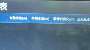 对象之力：解锁视频语言理解的新维度
