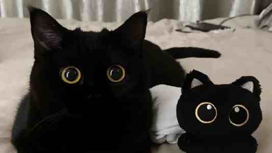 Windows 10下Unity项目持续集成：Jenkins一键自动化部署指南