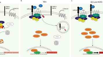 Kotlin 调试利器：告别无效 Debug，提升开发效率的实战指南