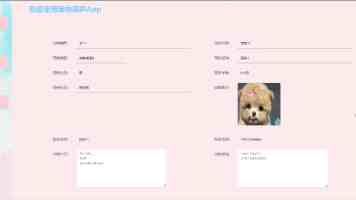 解锁数据潜力：自监督式学习的深度实践与架构解析