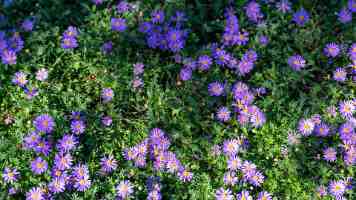 基于 XCVU9P-2FLGA2104E 的 Xilinx Virtex UltraScale+ FPGA 高性能应用开发指南