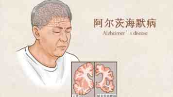 Python 玩转 PDF：100 天从新手到大师，进阶 PDF 操作实战指南