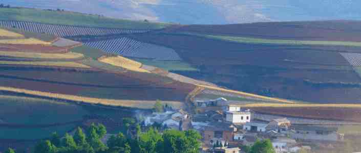 高级系统架构设计师考试：系统质量属性与架构评估实战指南