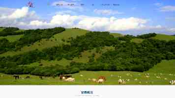 Android 开发利器：Java 与 Kotlin 深度对比及最佳实践