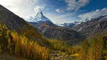 8K 剪辑硬解之争：RTX 4090 vs RTX A6000 显卡选购深度指南