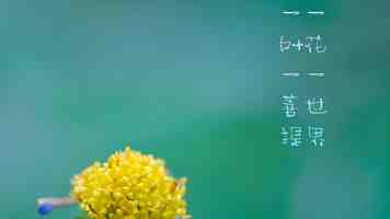 C++ 继承机制深度解析：从原理到实战避坑